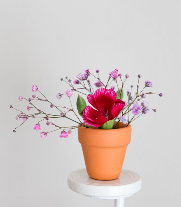 Nora Fleming Mini: Can You Dig It Terracotta Flower Pot